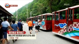 강물이 태어난 곳 물의 역사를 찾아 가는 태백 여행 2. 천재 드러머, 스틱 대신 닭 뼈를 들다! 3. 열대야? 실내에서 즐기는 낭만 휴가! 4. 희망... 