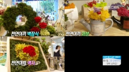 1.마약수사대 밥상에 양귀비 쌈 올린 식당, 왜? 2.둘이 합쳐 50kg 감량? 배우 박해미 모자의 다이어트법 3.春사월, 그린 인테리어로 대박... 