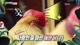 책방집 당나귀 - 홍철과 반려당 홍키의 좌충우돌 여름 캠핑 나들이 제2탄! | 2회 | 하하랜드 | 만나면 좋은 친구 MBC 하하랜드 | 만나면 좋은... 