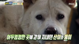  맛보기! 새로운 진행자 군단의 ‘환상 케미’! | 하하랜드; | 만나면 좋은 친구 MBC [하하랜드] 1. 시즌1의 주역, 아주 특별한... 