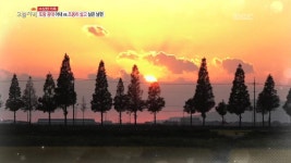 1.빨래 더 깨끗이 하는 법! 헹2탈3의 비밀 2.오늘 저녁! 당신이 선택한 맛집은 어디~? 3.가을의 보물, 대물 송이를 찾아서~! 4.또랑 광대 아내... 