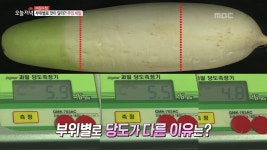 무한매력 무의 비밀 3.외딴섬 장도 섬마을에서 펼쳐지는 김장 대작전! 4.부산 깡통시장 오지랖 남편 vs 살림꾼 아내 | 959회 | 오늘N | 만나면... 