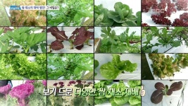 1.부안 동림마을, 두 번째 이야기 2.쌈 채소의... 3.자연이 품은 섬, 내도의 바다 한 상! 4.보고 있어도, 보고 싶은 내 며느리 | 779회 | 오늘N... 