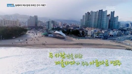 1.강원도 양양 사래마을 두 번째 이야기 2.연 매출 16억 매운탕! 쪽박집이 이뤄낸 대박 신화 3.서해를 품었다! 장자도의 바다 한 상 4.무결점... 