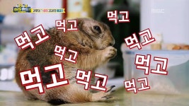 수상한 녀석들 | 13회 | 하하랜드2 | 만나면 좋은 친구 MBC 하하랜드2 | 만나면 좋은 친구 MBC