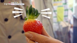 딸기, 어디까지 알고 있니? 3. 내 애정표현이, 가정폭력? 4. 유통된 달걀에서 항생제 검출?! 5. 내 몸 살리는 빨간색의 비밀? | 3139회 | 생방송... 