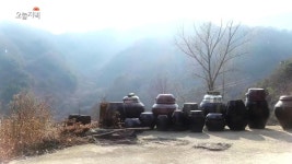 공기청정기 숫자의 비밀 2. 3,500원 콩나물 비빔밥 & 흑염소 전골... 자연은 나의 벗~ 지리산 신선가족의 산골 낙원 | 1001회 | 오늘N... 