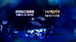 313회