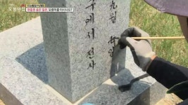 콩국수집 신의 한 수 ‘고추된장무침’ 비법 3. 00이 3개나? 오지마을 쌍둥이네 4. 아픔을 넘어 평화로, 고성 DMZ 로드 5. 오래된 선글라스, 눈... 