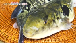 등산복 전문 수선 장인 3. 한술에 빠지는 치명적인 맛 ‘복국’ 4. 해발 700m, 내 멋대로 산중 라이프 | 1151회 | 오늘N | 만나면 좋은 친구... 