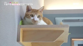 서민형 안심전환대출, 연 1% 금리의 비밀 3. 묘~한 하우스의 정체는? 4. 빨간 맛~ 궁금해 고춧가루! 5. 코스로 나오는 O가 있다? | 3301회... 