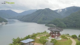 UHD 영상 스페셜 산책 | 만나면 좋은 친구 MBC UHD 영상 스페셜 산책  | 만나면 좋은 친구 MBC