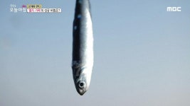 1. 경비원 사망, 슬픔에 빠진 아파트 2. 거제 외포항 ‘막내 사장’의 비밀 3. 화재진압 골든타임 놓친 이유? 4. 내 몸에 염증이 산다? | 3463회... 