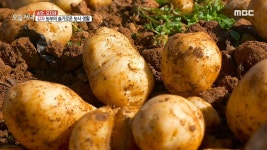 봄이 와서 더 맛있나‘봄’ 2. 육해(肉海)가 폭탄으로! 대갈 해물칼국수 3. 겨울 뚫고 감자 킥! 4.지화자 좋다~ 전통美 뿜뿜 하우스 5. 독이... 