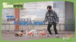 [10회] 마지막회 | 달려라 댕댕이; | 만나면 좋은 친구 MBC [달려라 댕댕이] 마지막회