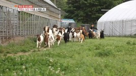 3. 흑염소 농장 고부의 손맛 4. 식탐 잡고 36kg 감량한 비법은? | 1567회 | 오늘N | 만나면 좋은 친구 MBC 오늘N | 만나면 좋은 친구 MBC