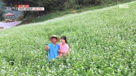 오징어는 칼국수를 좋아해♬ 오징어 쟁반칼국수 2. 100년 된 촌집 사위 성용 씨의 오지 생활 3. 소나무로 通했다! 경기도 이천 숲속 전원주... 