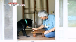 지리산 알까기 도사를 찾아서 3. 넝쿨째 굴러들어 온 딸 같은... 지리산 알까기 도사를 찾아서  3. 넝쿨째 굴러들어 온 딸 같은 며느리?!  4.... 