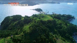[1766회] 1. 일벌레에서 베짱이로? 취미 부자 부부! 2. 가격 동결! 20종 반찬의 가정식 백반 3. 1박 3식! 거제 이수도 어촌 밥상 4. 아내에게... 