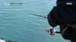 [1559회] MBC 네트워크특선 푸른백세 어영차 바다야 (5/22) | MBC... MBC [MBC 네트워크특선 ] MBC 네트워크특선 푸른백세 어영차 바다야 (5/22)