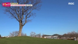 4. 89세 순자 할머니의 식당 5. 2023 순천만국제정원박람회 | 396회 | 이 맛에 산다 | 만나면 좋은 친구 MBC 이 맛에 산다 | 만나면 좋은 친구 MBC