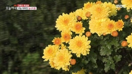 동갑내기 부부의 촌집 2. 77세 정자 할머니의 정성 김밥 3. 당신과 함께여서 고맙소 4. 거꾸로 달린 간판? 30년 전통 아바이순대 집 | 2097회... 