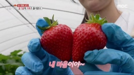 아내의 로망을 실현한 장미 정원 하우스 | 오늘N; | 만나면 좋은 친구... 메뉴판인 가게의 비밀!  4. 아내의 로망을 실현한 장미 정원 하우스