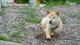 제철 해산물 & 돼지고기를 무한리필로 즐긴다! 9종 조개구이 & 6종 고기 | 핫클립 | 생방송 오늘 저녁 | 만나면 좋은 친구 MBC