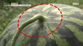 1. 집값 의식? 개명하는 아파트들 2. 키오스크가 두려운 노인들, 배우면 쉽다? 3. ‘다치고 갇히고’ 현관문이 왜 이래? 4. 로열층 보다 비싸?... 
