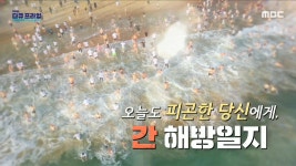 인삼 오디세이 - <2부> 삼(蔘), 바다를 건너다 | 358회 | MBC 다큐프라임 | 만나면 좋은 친구 MBC MBC 다큐프라임 | 만나면 좋은 친구 MBC