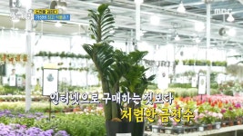 중년의 적, 주름을 잡아라! | 3456회 | 생방송 오늘 아침 | 만나면 좋은 친구 MBC 생방송 오늘 아침 | 만나면 좋은 친구 MBC