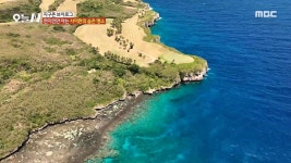 대왕 철판 떡볶이 VS 팔뚝 김밥 3. 귀족 가자미를 잡아라! 울진 홍가자미 4. 벼락을 쫓는 계룡산 산신령 5. 면역력만이 답이다! | 1285회... 