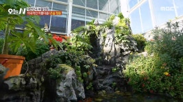 2. 인생을 걸었다! 특별한 한우의 정체는? 3. 토마토 농장의 변신! 식물원 카페 4. 미리 크리스마스! 오산시 산타마켓 | 다시보기 | 오늘N;... 