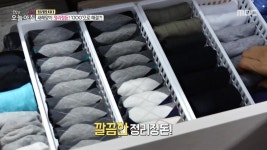 1. 등교 거부하는 학생들! 왜? 2. 도심 속 버섯 농장을 찾아라! 3. 황혼에 찾아온 사랑?! 4. 전기요금 절약하는 비법은? | 4064회 | 생방송 오늘... 