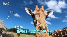 여행 전 필수 시청, 같이 짐 싸요! 5. 모르면 나도 당한다? | 다시보기 | 생방송 오늘 아침; | 만나면 좋은 친구 MBC 4428회 | 1. 식당에서 만난... 