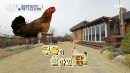 <마포구 대흥동 경의로운 숲길 주택> 내 집 앞 경의선 숲길 뷰 누려~ 누려~! | 핫클립 | 구해줘! 홈즈 | 만나면 좋은 친구 MBC <마포구 대흥동... 