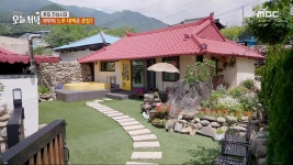 산속에서 말이 뛰어논다? 동물농장 방불케 하는 산속 카페 | 핫클립 | 생방송 오늘 저녁 | 만나면 좋은 친구 MBC