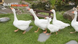 꾸미지 않은 아름다움이 느껴지는 산골 오지 카페 | 핫클립 | 오늘N | 만나면 좋은 친구 MBC