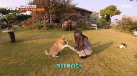 봄이 와서 더 맛있나‘봄’ 2. 육해(肉海)가 폭탄으로! 대갈 해물칼국수 3. 겨울 뚫고 감자 킥! 4.지화자 좋다~ 전통美 뿜뿜 하우스 5. 독이... 