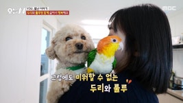 봄이 왔매애~ 좌충우돌 목장 라이프! 2. 국민 별식! ‘가리구이’를 아십니까? 3. 연 매출 9억 원 양 다리 ‘통’구이 4. 유채꽃 부부의 사랑과... 