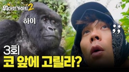 르완다 3부 - 야생 고릴라를 만나기 위해 떠난 대. 다. 수 | 3회 | 위대한 가이드2 | 만나면 좋은 친구 MBC 위대한 가이드2 | 만나면 좋은 친구 MBC