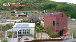 1.산골 부부의 사랑 가득 동물 농장 2.이색 코스 요리 대결! 복요리... 형제 생선가게 4.낭만가득! 산 사나이의 산중일기 | 729회 | 오늘N... 