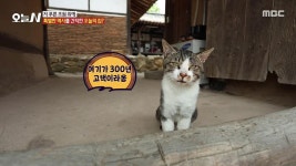 흙 속의 진주! 겨울 ○○의 정체는? 3. 오이도에서 대부도까지!... 160년 세월 품은 청주 고택 (2부) | 1447회 | 오늘N | 만나면 좋은 친구 MBC... 