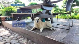 1. 경찰서로 간 고추, 그 속사정은?B 2. 손톱이 보내는 신호! 점인 줄 알았더니 암? 3. 떡 부자’삼 형제의 대박 비법 4. 귀성 전쟁 스트레스... 