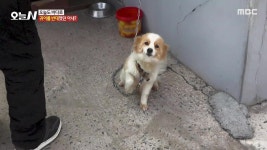인두로 그림을 그린다?! 나무를 태워 탄생한 우드버닝 | 핫클립 | 오늘N; | 만나면 좋은 친구 MBC [오늘N]