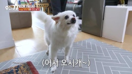 인두로 그림을 그린다?! 나무를 태워 탄생한 우드버닝 | 핫클립 | 오늘N; | 만나면 좋은 친구 MBC [오늘N]