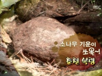 [259회] 1. 고추장 (전북 순창) 2. 순두부 (강원 강릉) 3. 능성어 (제주) 4. 연근 (경기 김포) | 그린실버 고향이 좋다; | 만나면 좋은 친구 MBC... 