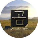 '곰' 지리산으로 돌아온 반달가슴곰들의 이야기 "인간과 곰의 공존"| 연예뉴스 | iMBC