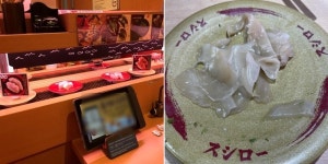 회전초밥집에서 공짜로 주는 물·생강·락교만 먹고 1시간 동안 수다 - 자영업자 마이너 갤러리