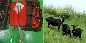 양궁동호회 개레전드사건떴네요 - 클레이사격 마이너 갤러리